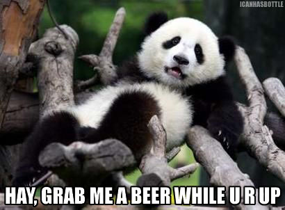 090108pandabeer.jpg
