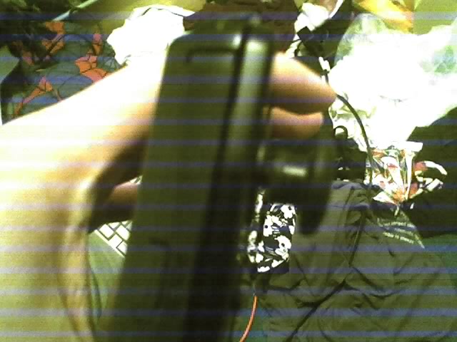10-11-08_1538.jpg