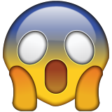1000077-omg-face-emoji-icon-file-hd.png