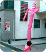 129156772102632782.gif