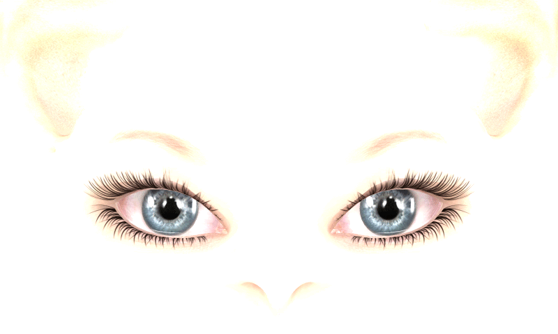 16kxbtx.gif