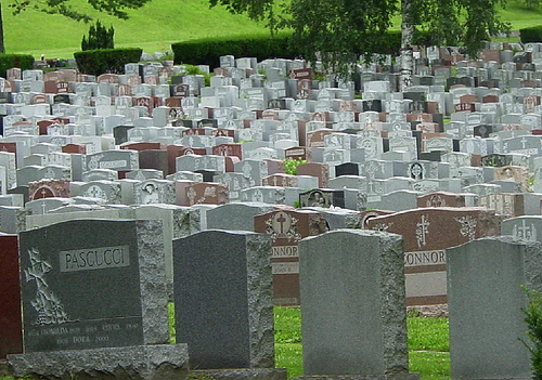 185041389_9d60e07b79.jpg
