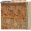 1zp1rm1.jpg