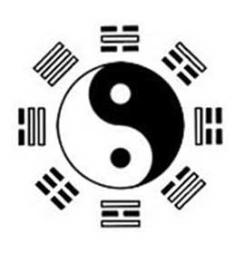 2007-7-7-yin_yang_grams.jpg