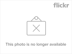 2065768848_68c0b76ce2_m.jpg