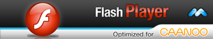 221879FlashPlayer.png