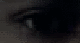 23mpr2t.jpg