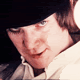 2495.gif