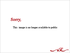 254122580_m6f6.gif