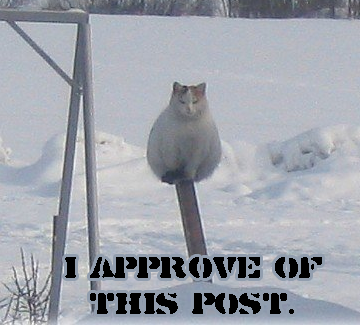 25zpczq.png