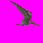 2e5vbj7.gif