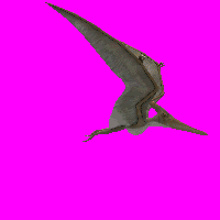2lk70uu.gif