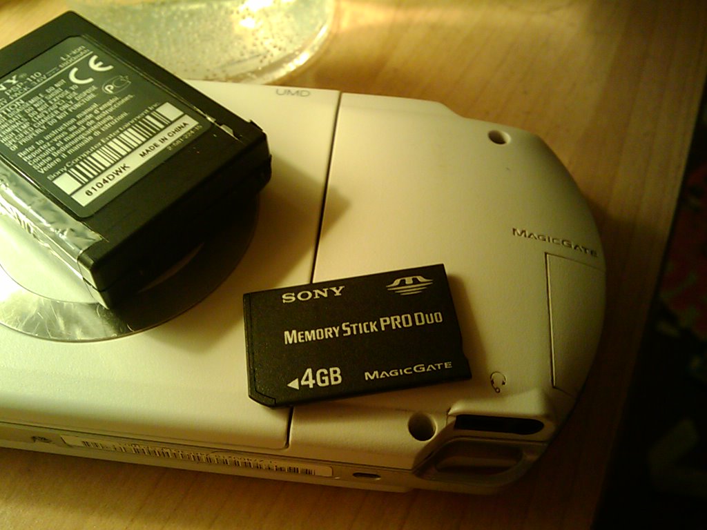 3257079357_cbe739ef78_o.jpg