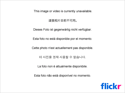 36425316_656a445a0a_m.jpg
