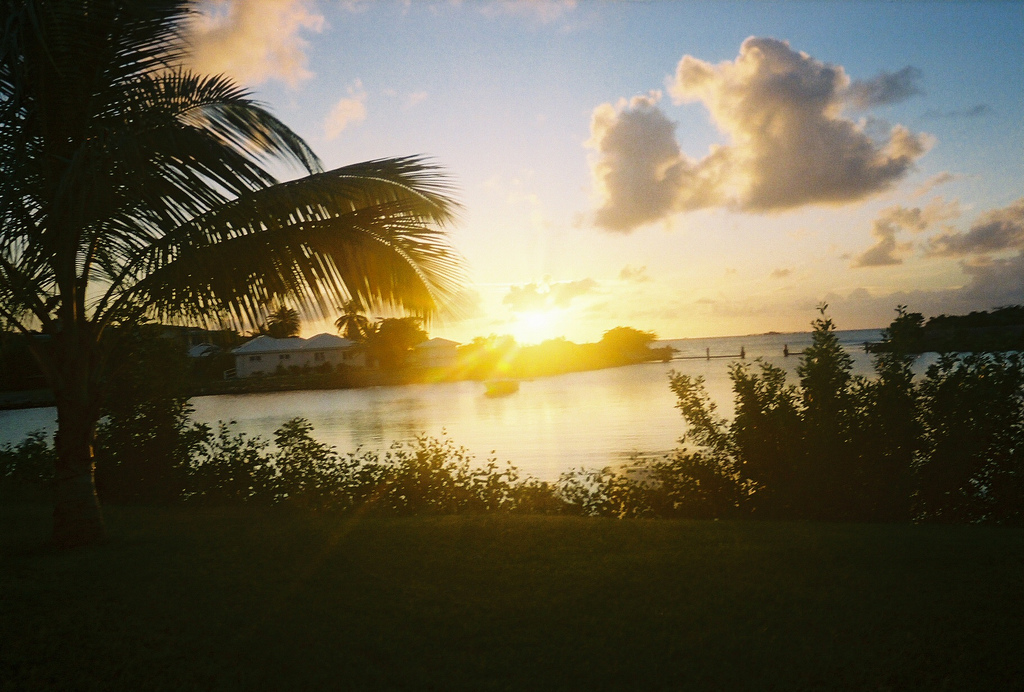 4256709667_efb902db26_b.jpg