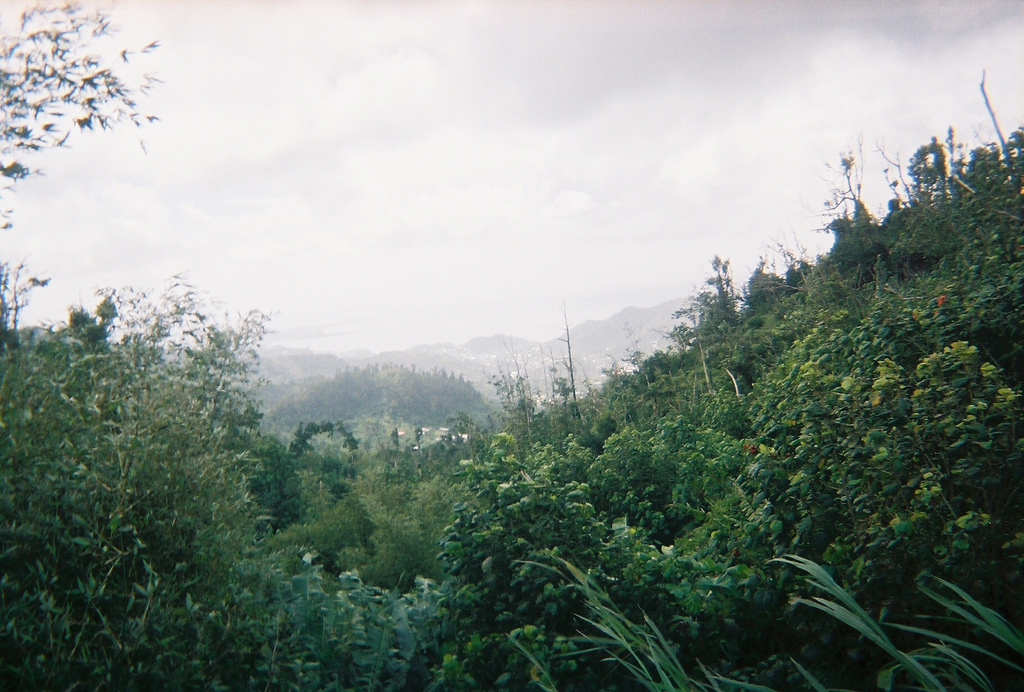 4257470056_a0bb67878d_b.jpg