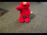 450-elmo-rofl.gif