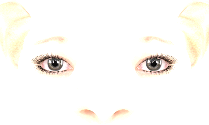 6z3ev4.gif
