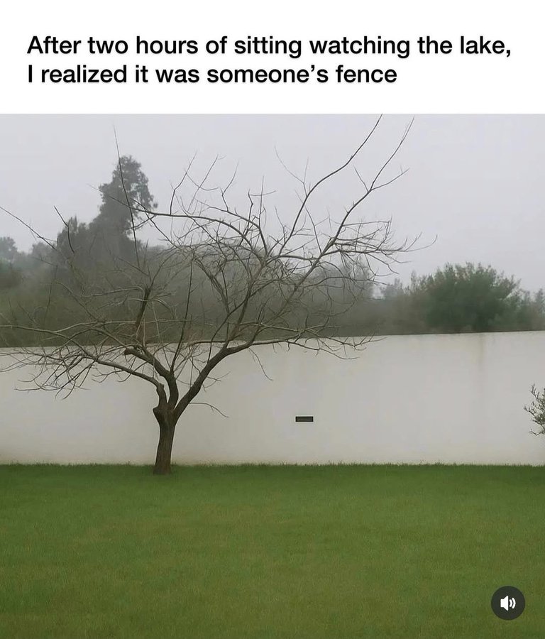 7964.jpg