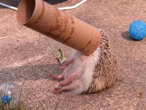 A Little Help Please.jpg