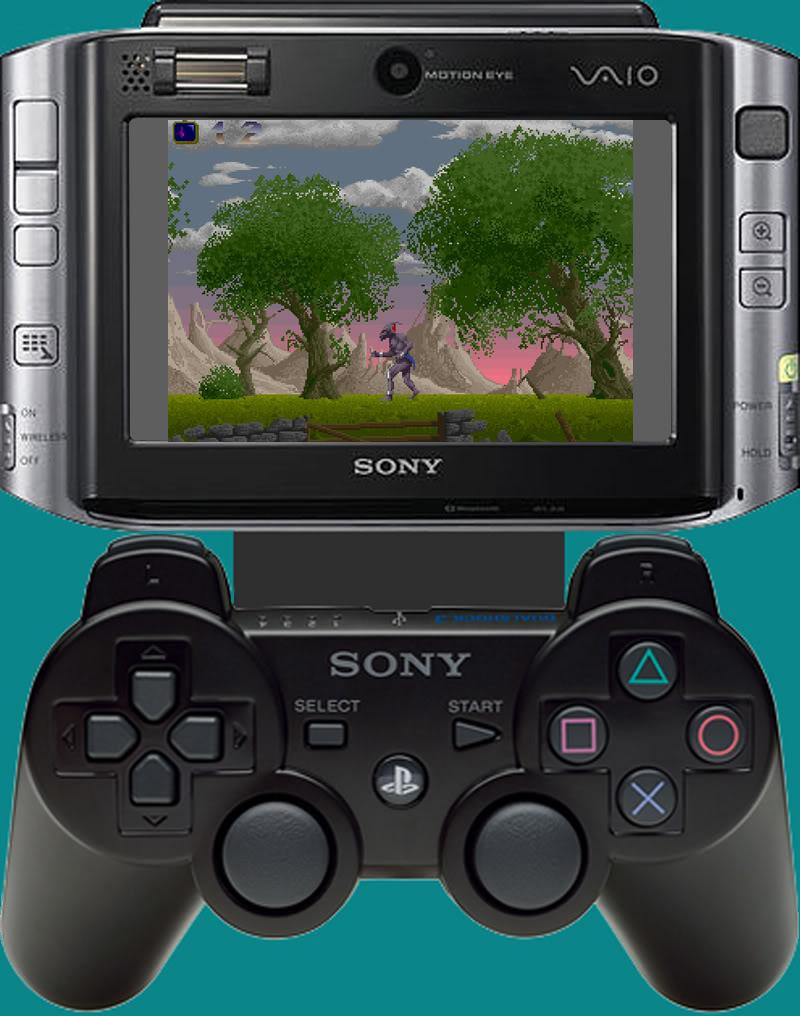 Amigasony-vgn-ux17gp_1.jpg