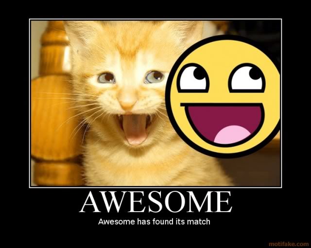 awesome-cat-awesome-demotivational-.jpg