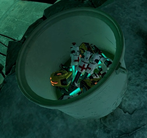 bucky.jpg