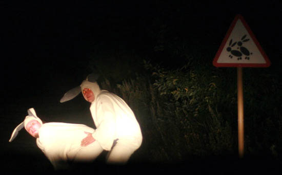 bunnies-doinit.jpg