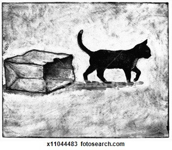 cat-out-bag_~x11044483.jpg