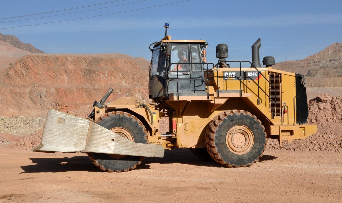 cat824.jpg