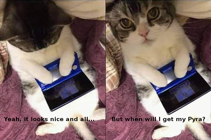cathasquestions.jpg