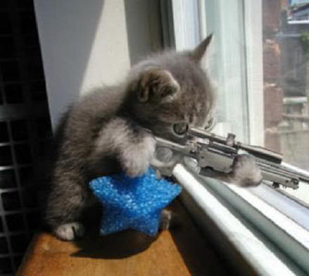 Catsniper.jpg