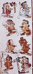 codecPyratiensis.jpg