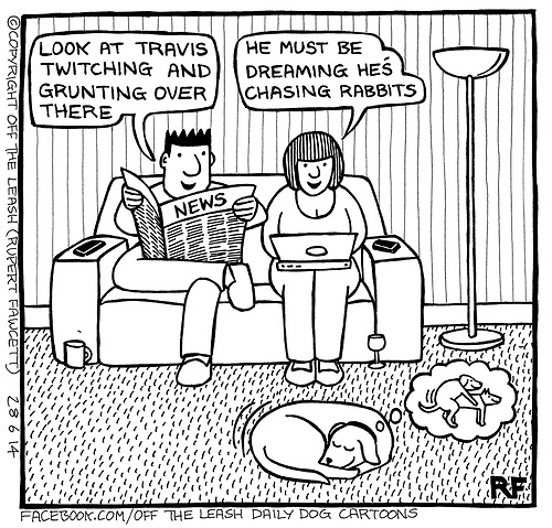 Dreaming Dog.jpg