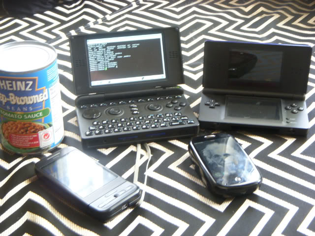 DSCN8556.jpg