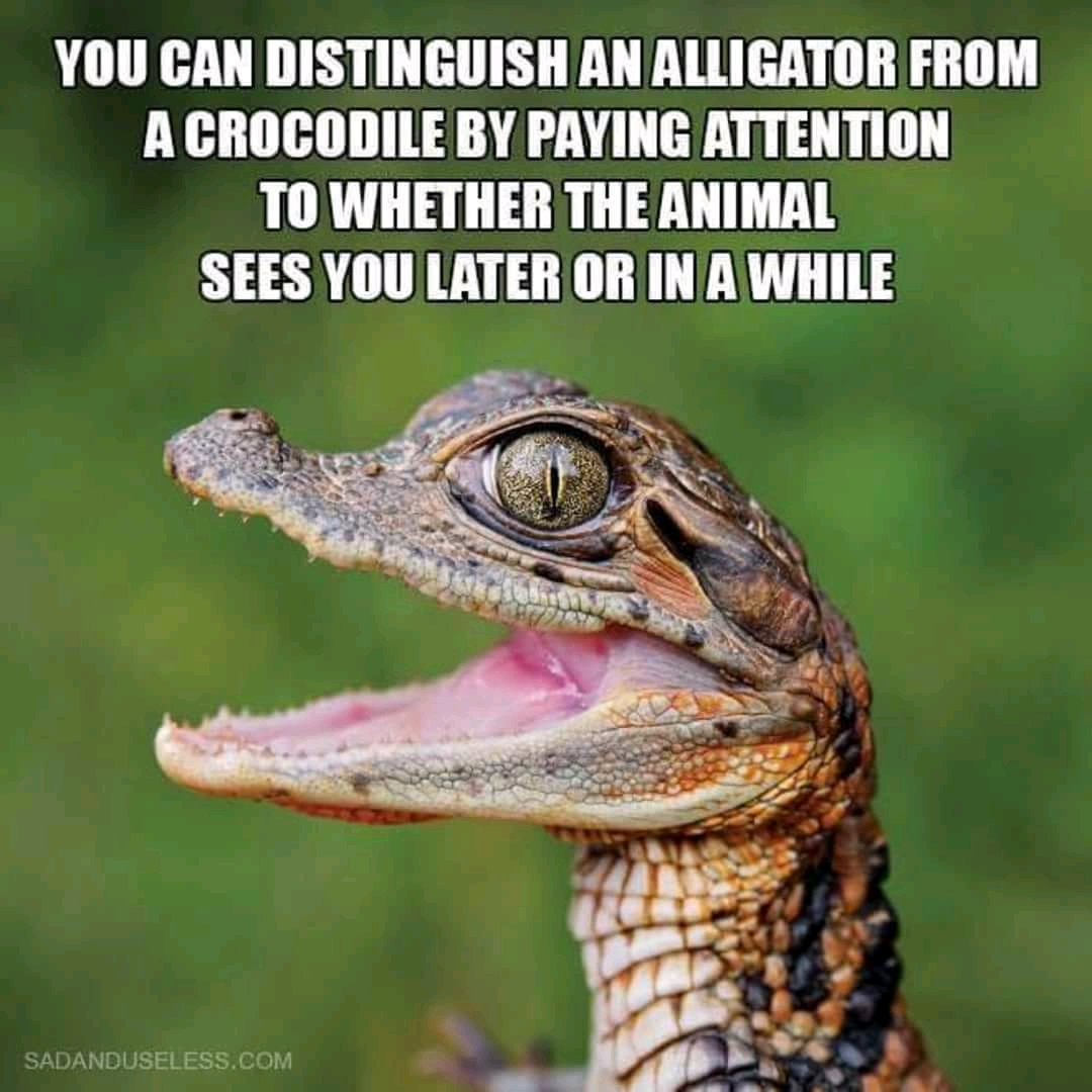 FB_IMG_15310222734355482.jpg