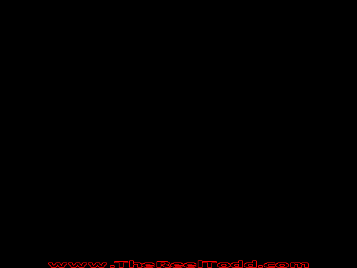 Flynn_BIT01_520x390.gif