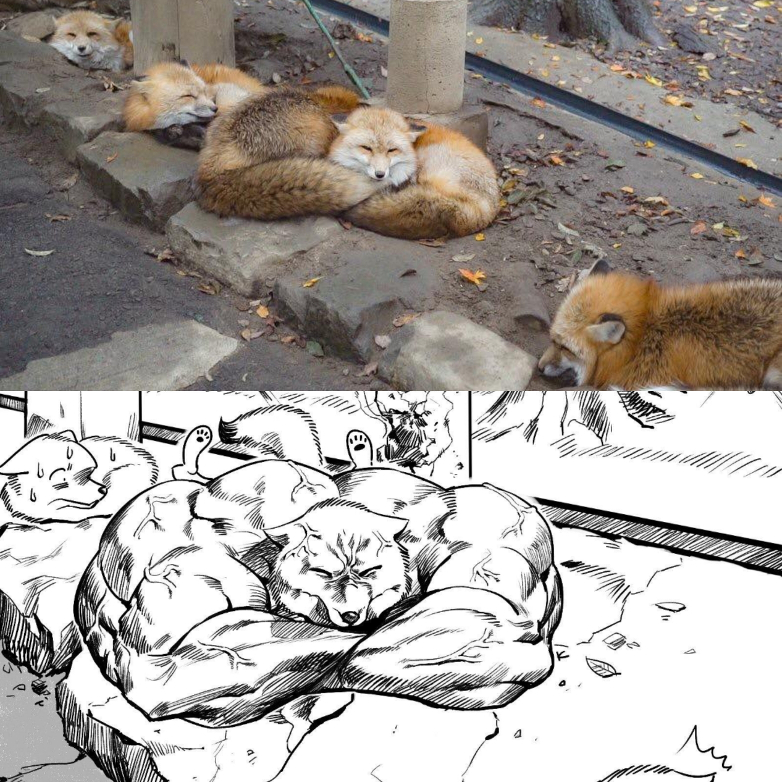 foxy_geodude.jpg