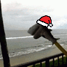 frawally-xmas.gif