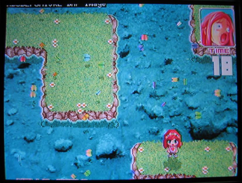 gp2x_tvout_image1.jpg