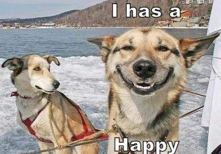 happy.jpg