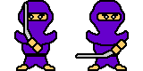 hgninja.png