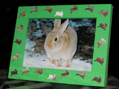 hopping_bunny.jpg
