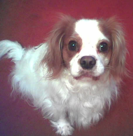 Image03.jpg