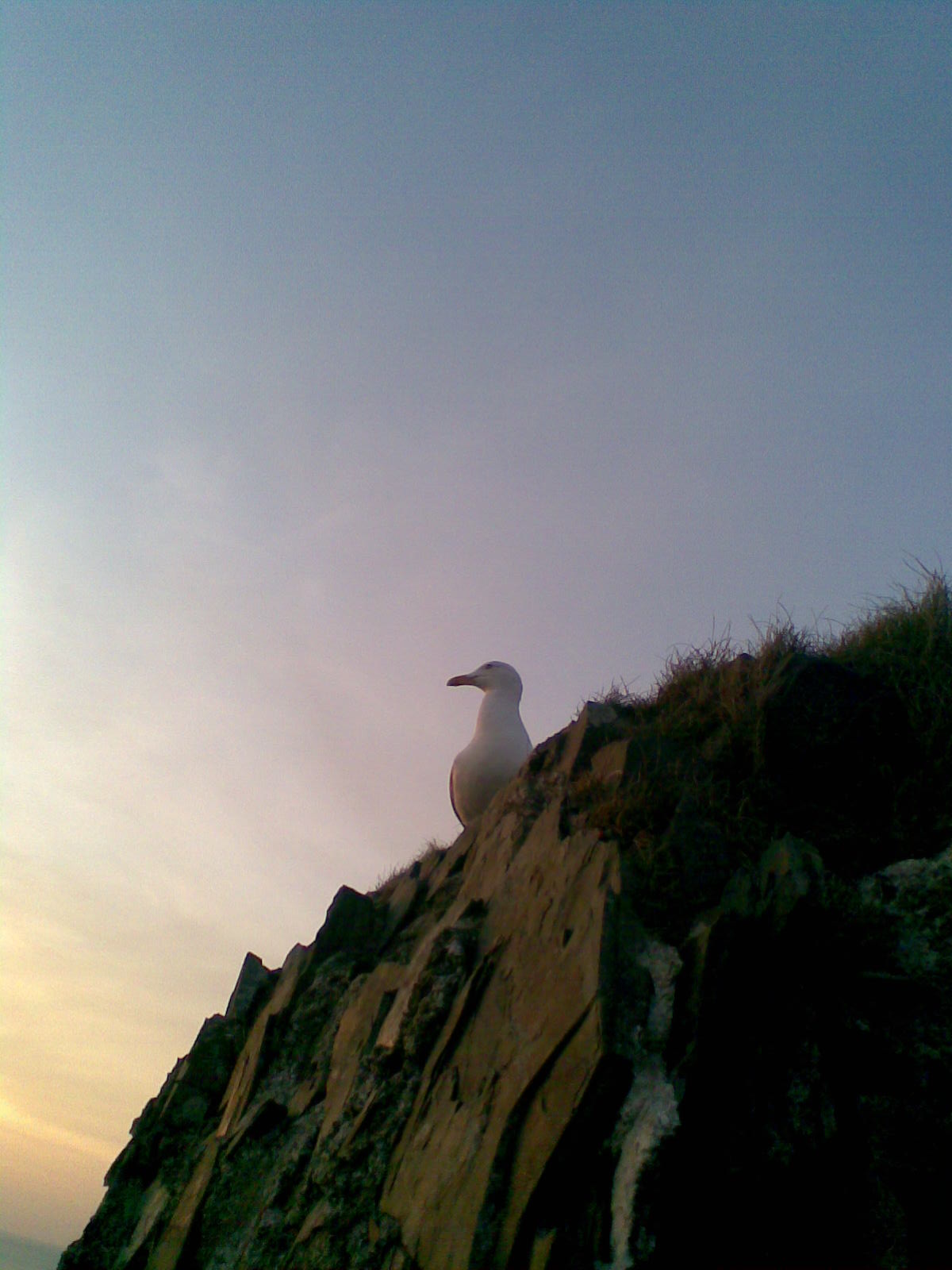 Image076.jpg