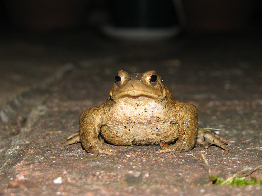 img01562.jpg