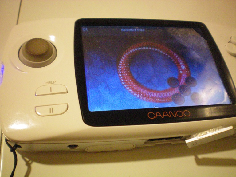 img1.jpg