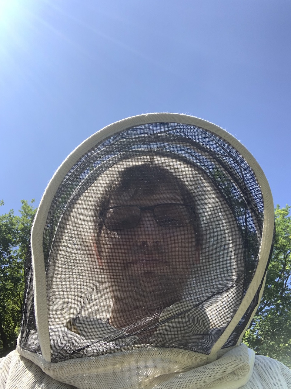 IMG_0955.jpeg