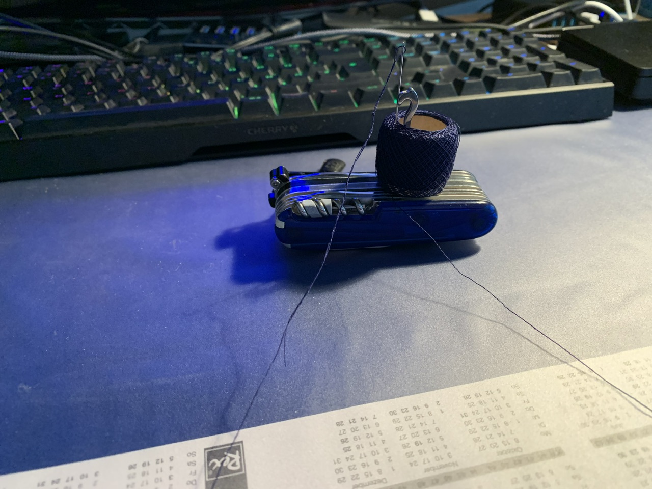 IMG_1168.jpeg