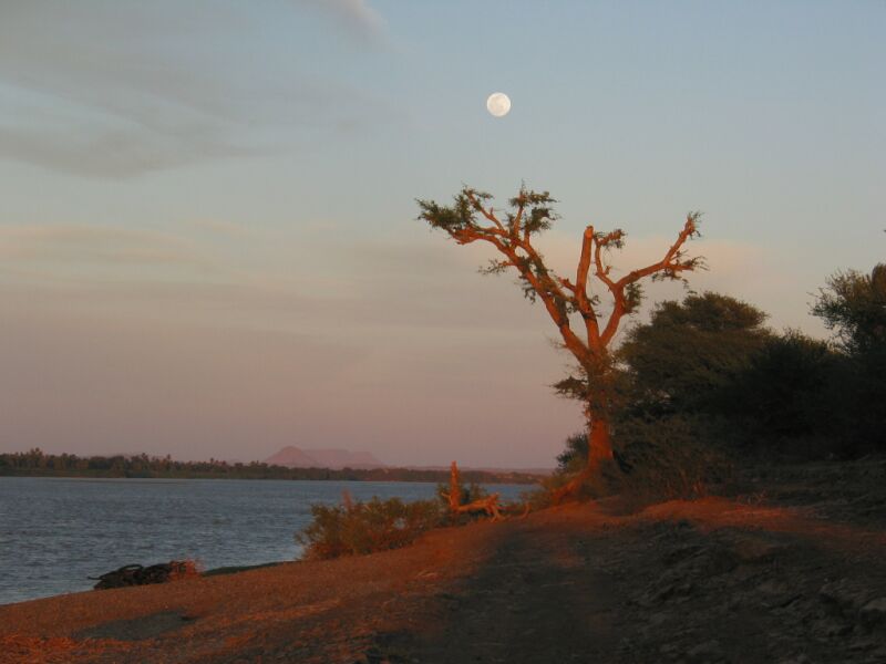 imgSudanAbriNileAndMoon1Res800.jpg